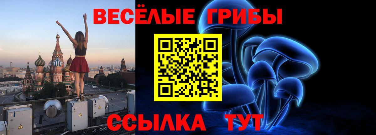Псилоцибиновые грибы ЛСД Кандалакша